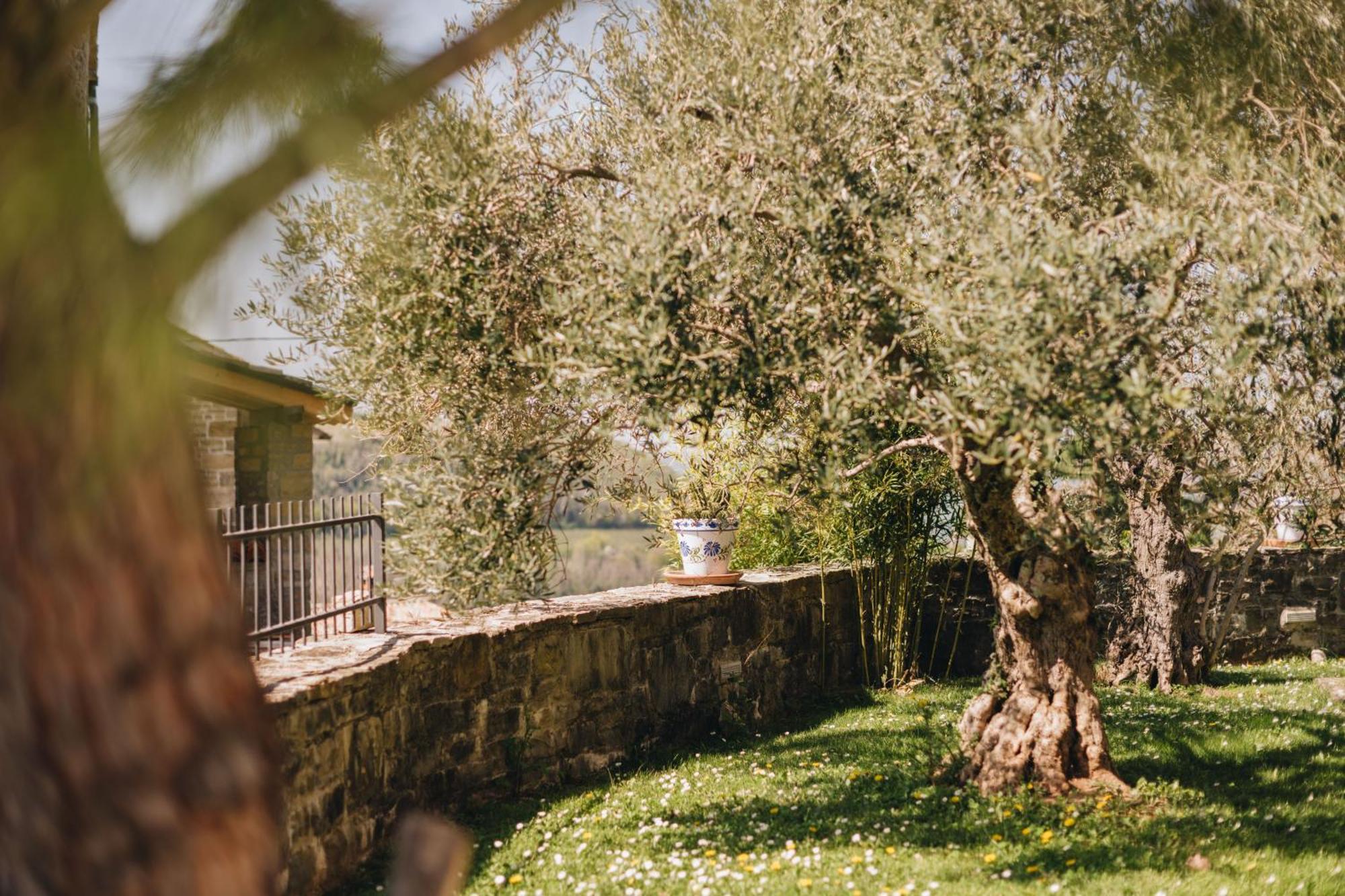 Villa Dreamhill Meloni à Motovun Extérieur photo